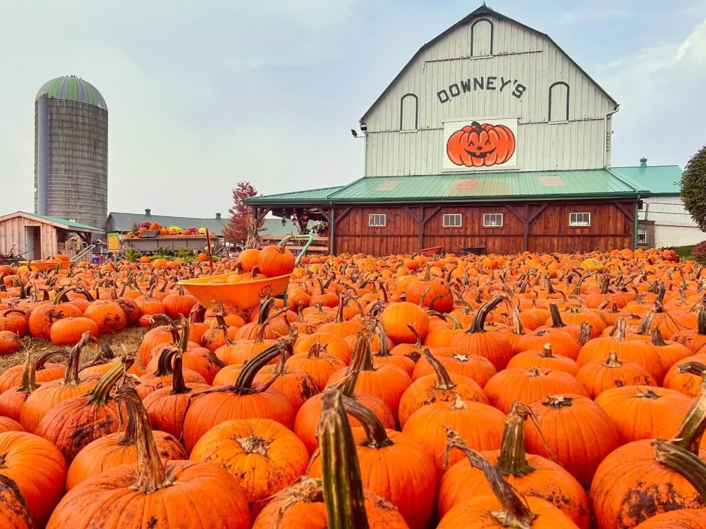 downeysfarm-fall