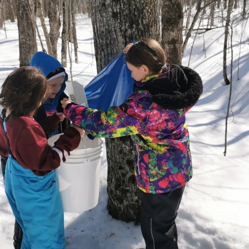 maple syrup in snow