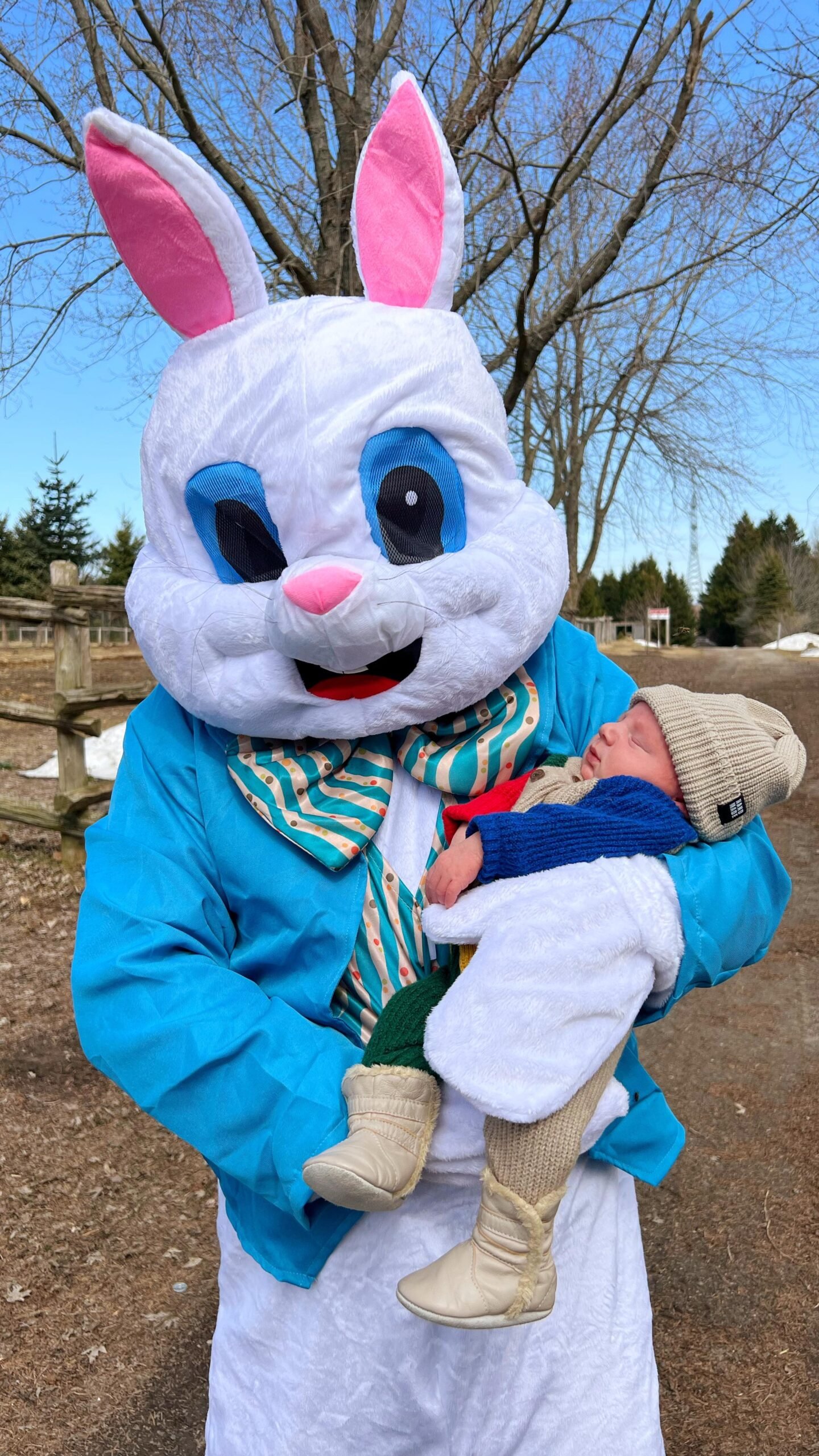 Erin Hill Acres