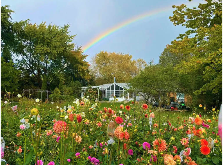 Farm to visit in june